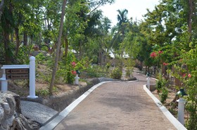 Discovery Coron