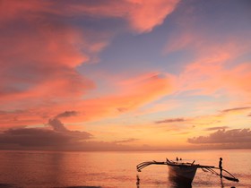 Amor Farm Beach Resort