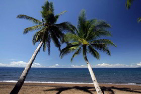 Atlantis Dive Resort Dumaguete
