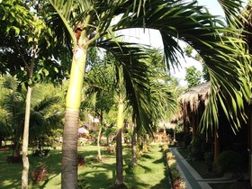Dumaguete Springs Beach Resort
