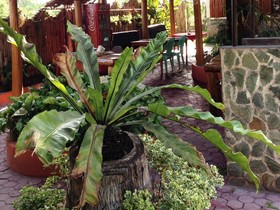 Dumaguete Springs Beach Resort