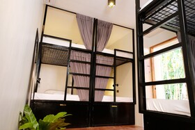 Mad Monkey Dumaguete