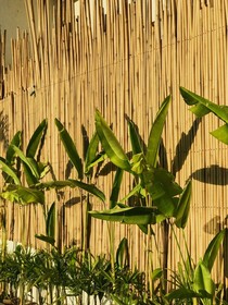 Ahana Resort