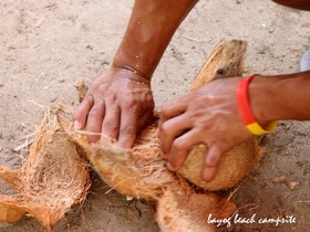 Bayog Beach Campsite