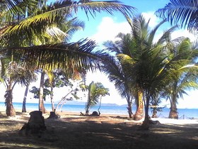 Bayog Beach Campsite