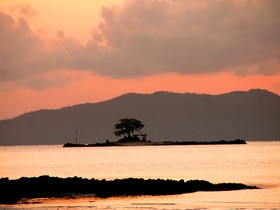 Bayog Beach Campsite