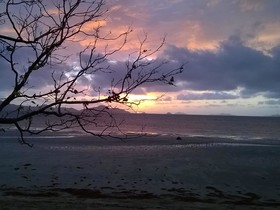 Bayog Beach Campsite