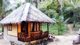 Bayog Beach Campsite
