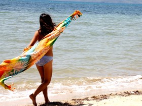 Bayog Beach Campsite