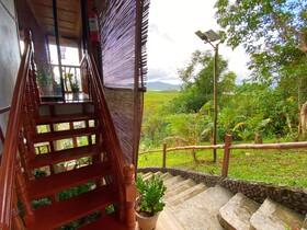 Ced Garden
