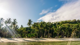 Dryft Darocotan Island - Campsite