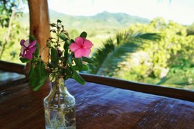 Erlittop Garden