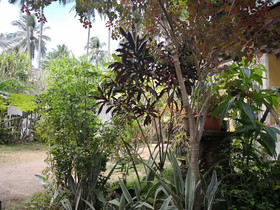 Karmylla's Place El Nido