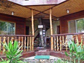La Salangane