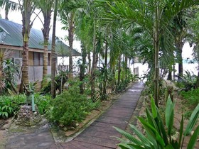 La Salangane