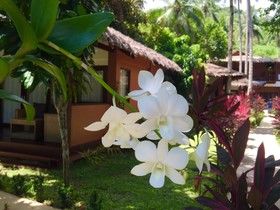Last Frontier Beach Resort