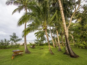 Qi Palawan