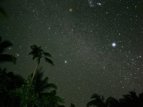 Qi Palawan