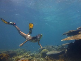 Qi Palawan