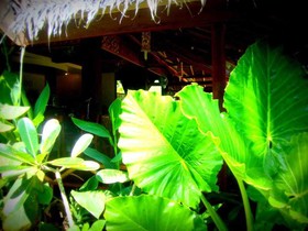 Laluna Island Resort