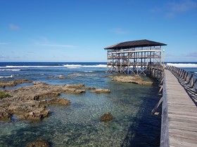 Mango Tree Siargao