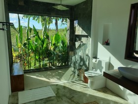 Mango Tree Siargao