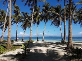 Mango Tree Siargao