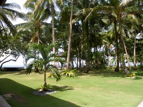 Ocean 101 Beach Resort