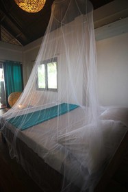 Surfing Carabao Beach Houses