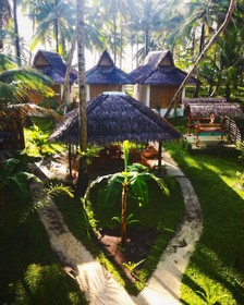 Surfing Carabao Beach Houses