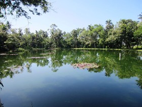 Amandari Cove Hotel