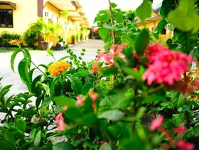 Antonio's Apartelle