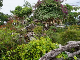 Sarangani Highlands Garden