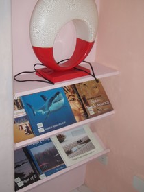 Anthurium Inn