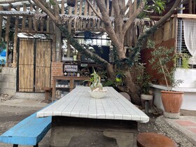 HalfMoon Village and Beach House powered by Cocotel