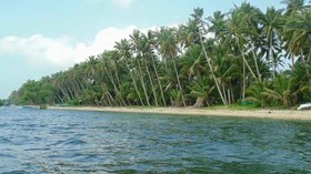 Ucoy Beach Resort