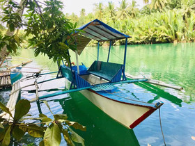 Loboc Cool River Resort