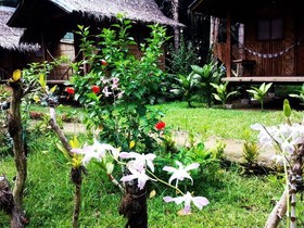 Nipa Hut Village
