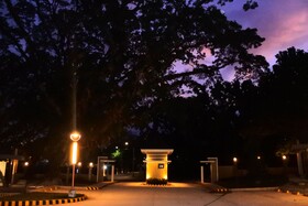 Aurora Villas And Cabin Resort