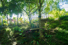 Paradiso Rito