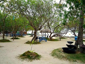 Nalusuan Island Resort & Marine Sanctuary