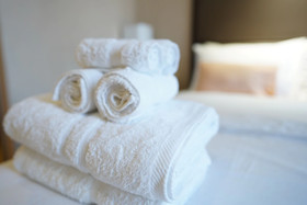Serena's Suite