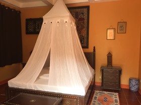 Mangrove Oriental Resort