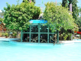 DJ Paradise Hotel