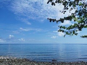 Kokomo Beach Resort