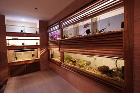 1775 Adriatico Suites