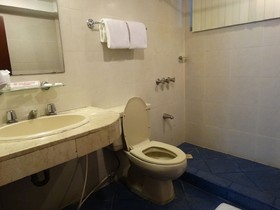 Cherry Blossoms Hotel