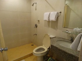 Cherry Blossoms Hotel