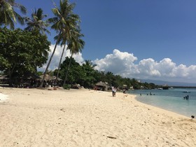 Coral Blue Moalboal Resort