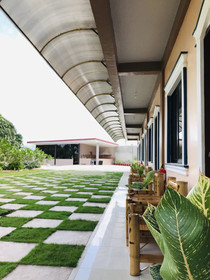 La Plumerias